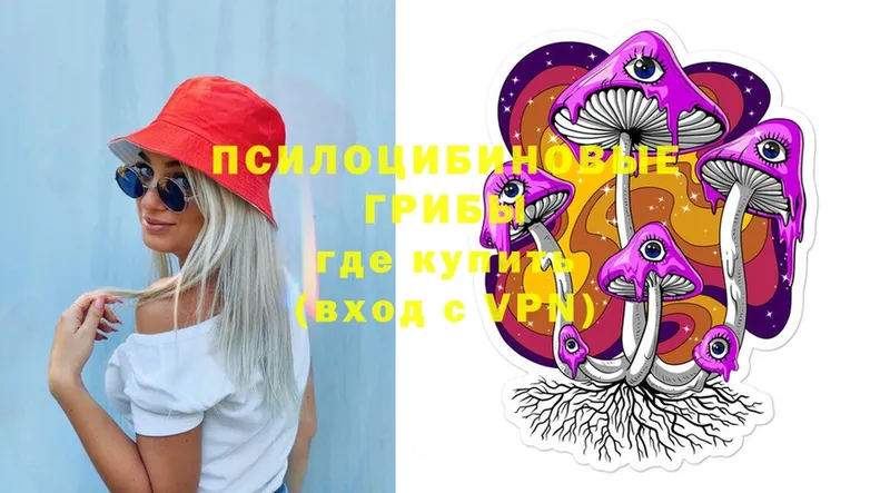 Псилоцибиновые грибы Psilocybe  Асбест 